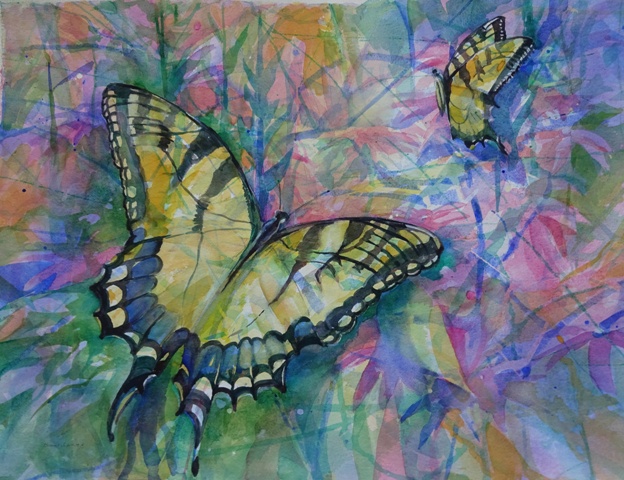 Tigerswallowtails